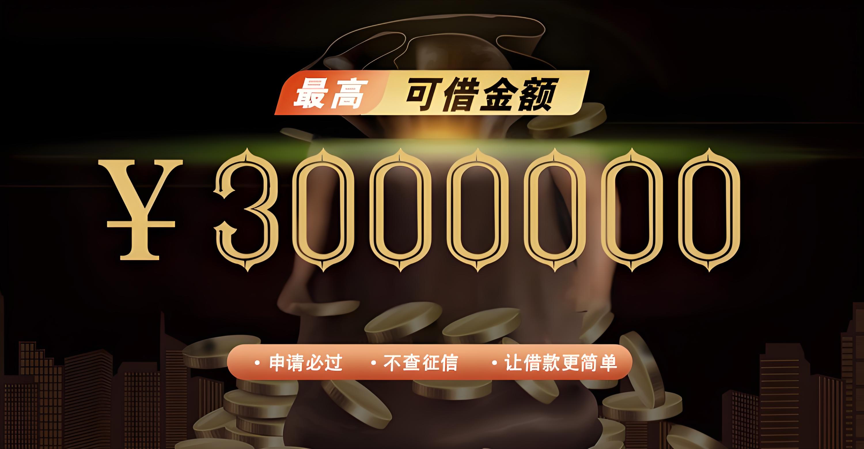 最高可借金额3000000